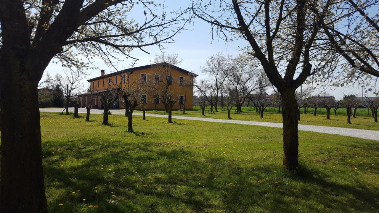 Agriturismo Borgo Borromeo Rubano Zewnętrze zdjęcie